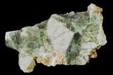 Radiating, Green Wavellite Crystal Aggregation - Arkansas #135958-1